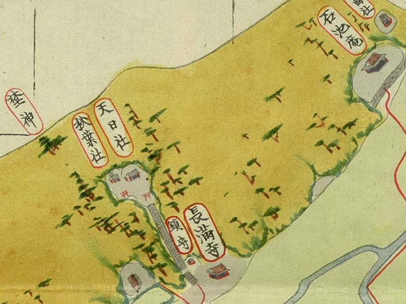 文化11年6月改正 阿波国那賀郡岩脇村絵図（長満寺）